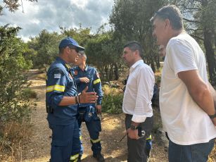 Υπό πλήρη έλεγχο η φωτιά που ξέσπασε σήμερα το μεσημέρι στα «Γλυκά Νερά»